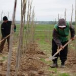 1093448506_0_0_2048_1364_1440x900_80_0_1_227b2af094e104d84c5315a0eb18f31a