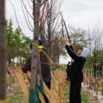 1093448564_0_0_2048_1364_1440x900_80_0_1_b527fcebb8baf3d12ffdd15f959ede3a