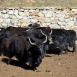 WhatsApp Image 2025-12-15 at 10.11.53 (1)