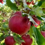 WhatsApp Image 2026-02-22 at 13.46.28