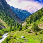 1366x768_cmsv2_9f037634-f270-5d30-a00c-28c5bdc81725-9672798