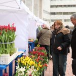 bf1d278f-efda-4b7e-a48c-5e23b84331da