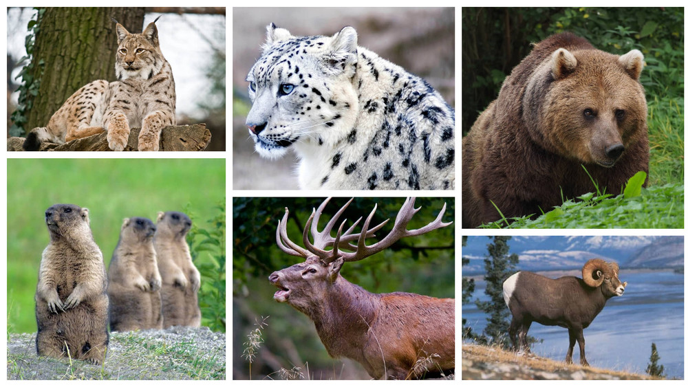 3023504.4c2cbe00ed0fc5789720244a6c731441