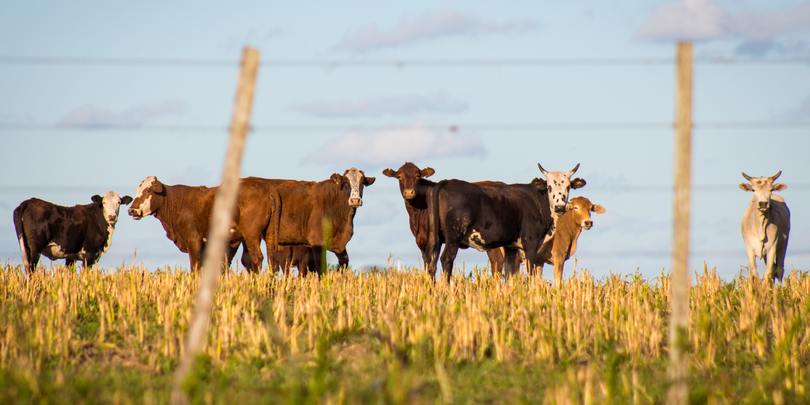 geronimo-giqueaux-GDPmCyUz5EI-unsplash